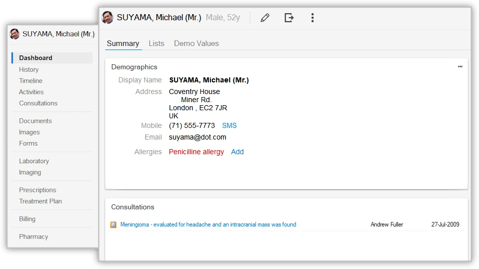 Patient Demographics Screenshot